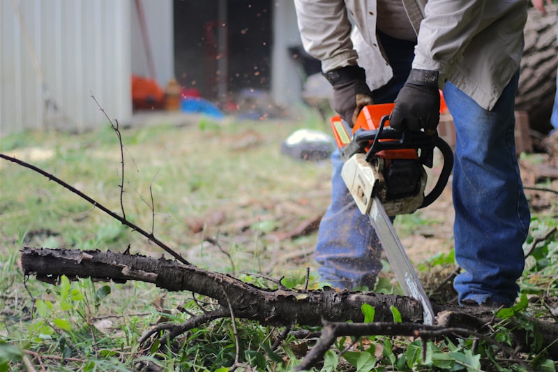 Chainsaw cutting wood