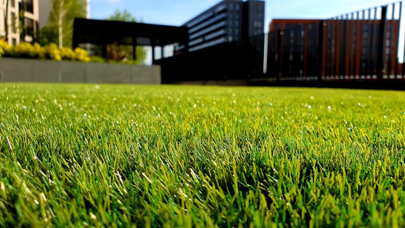 Lawn mower on green grass