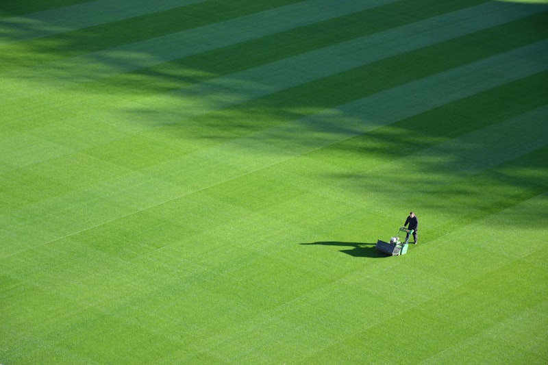 Push mower on lawn