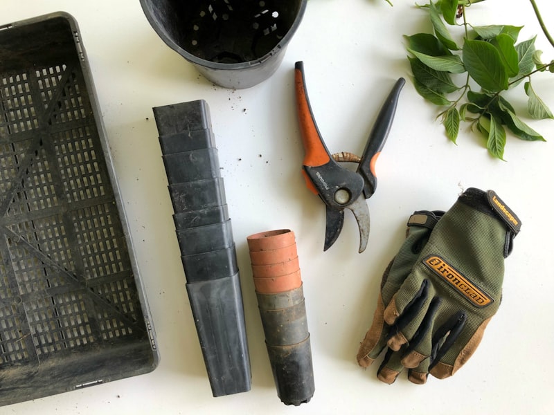 Garden tools collection